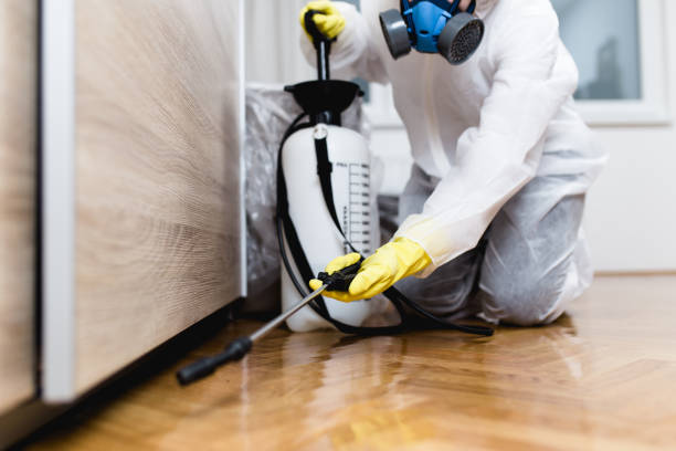 Best Wasp Removal Services  in Coing, AL