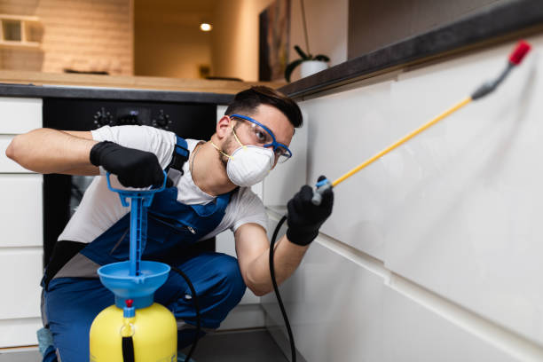 Best Mosquito Control Services  in Coing, AL
