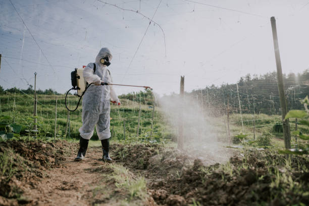Best Local Pest Control Services  in Coing, AL