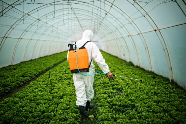 Best Mosquito Control Services  in Coing, AL