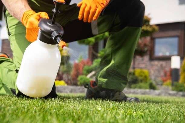 Best Wasp Removal Services  in Coing, AL