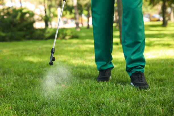Best Pest Control Near Me in Coaling, AL