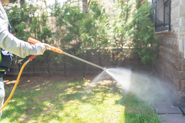 Best Pest Removal Services  in Coing, AL