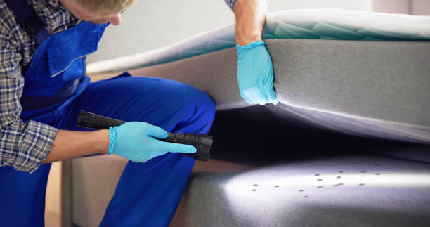 Best Best Pest Control Near Me  in Coing, AL