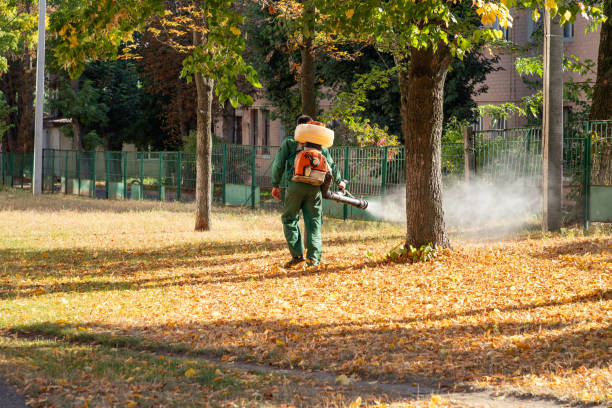 Best Best Pest Control Companies  in Coing, AL