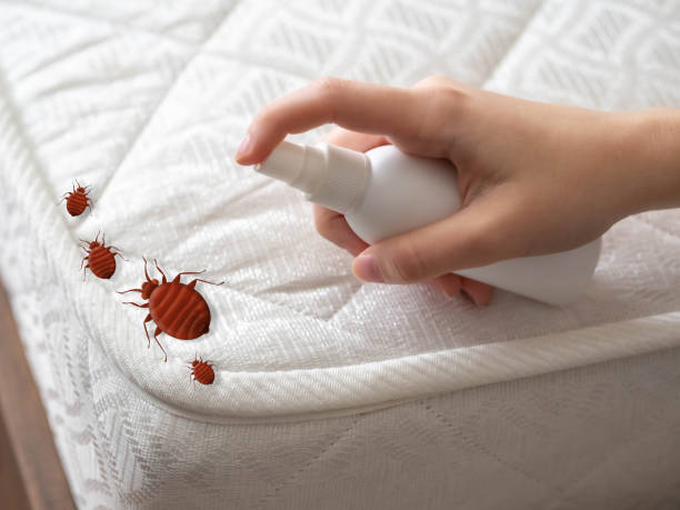 Best Best Pest Control Companies  in Coing, AL