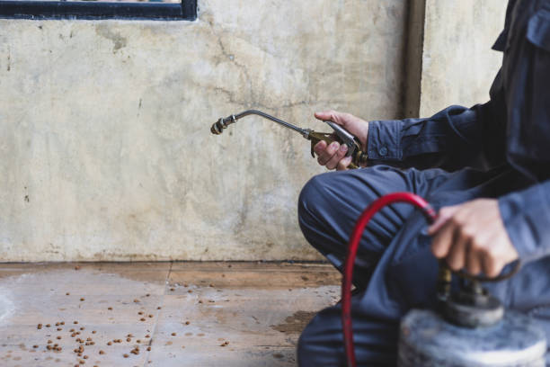 Best Termite Control Services  in Coing, AL